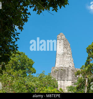 Vista laterale del tempio 4 pettine del tetto in Tikal, Guatemala Foto Stock