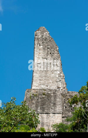 Vista laterale del tempio 4 pettine del tetto in Tikal, Guatemala Foto Stock