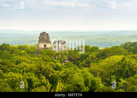 Tikal in Guatemala, antica città Maya in rovine circondata dalla giungla Foto Stock