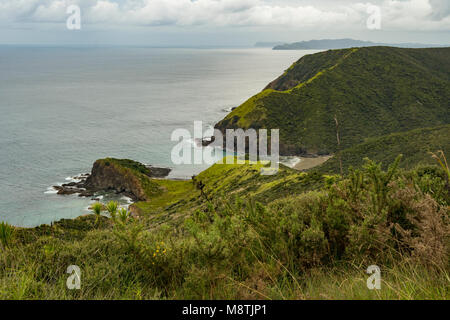 Bevande spiritose Bay, Cape Reinga, Isola del nord, Nuova Zelanda Foto Stock