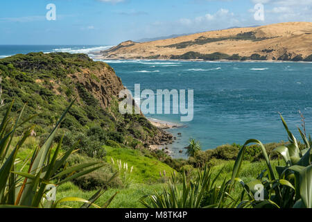 Ingresso Hokianga Harbour dalla stazione di segnale, Isola del nord, Nuova Zelanda Foto Stock