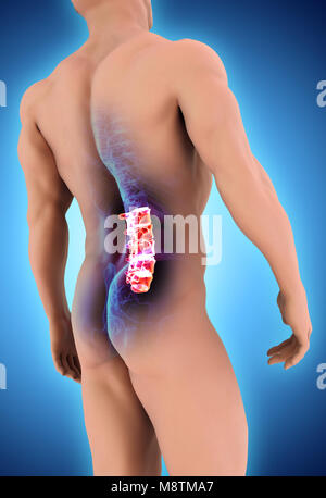 3D illustrazione della regione sacrale - parte di scheletro umano. Foto Stock