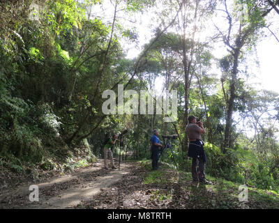 Vogelaars a Rio Blanco; birdwatcher in Rio Blanco; Colombia Foto Stock