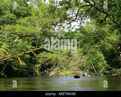 In canoa il sentiero del fiume Brda. Tuchola pinete, provincia di Pomerania,Polonia, l'Europa. Foto Stock