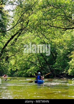 In canoa il sentiero del fiume Brda. Tuchola pinete, provincia di Pomerania,Polonia, l'Europa. Foto Stock