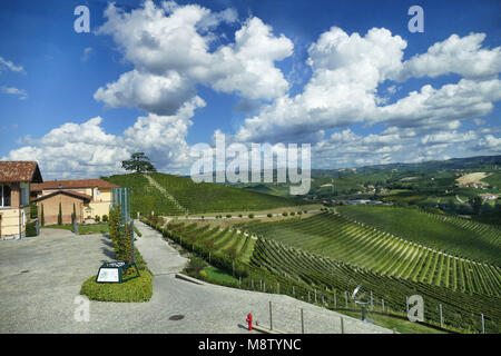 Italia Piemonte Langhe circa nel settembre 2015 tour enologico nelle Langhe vista panoramica dei vigneti nel quadro torbido cielo blu Foto Stock