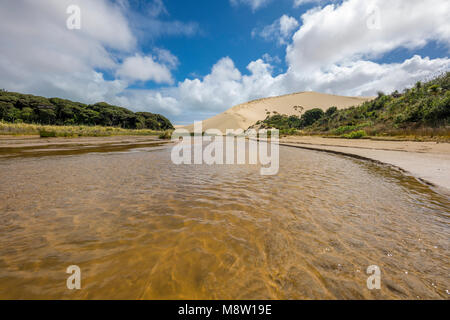 Gigantesche dune di sabbia Te Paki, Nuova Zelanda Foto Stock