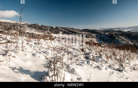 Paesaggio montano invernale con coperta di neve colline e cielo blu da Ganczorka collina di Beskid Slaski montagne in Polonia Foto Stock