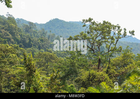 Vista la giungla di Koh Chang in Thailandia Foto Stock