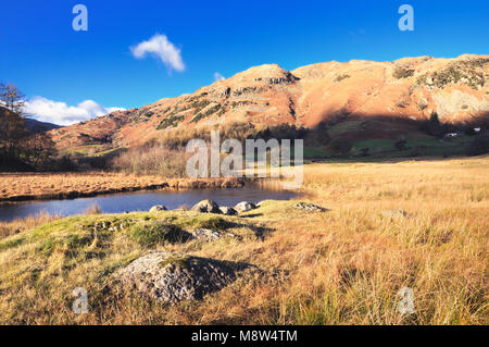 Il fiume Brathay nella piccola valle Langdale portando a Lingmoor cadde visto su un nitido pomeriggio autunnale. Parco Nazionale del Distretto dei Laghi, UK. Foto Stock