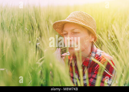 L'agricoltore femmina esaminando spighe di grano in campo, donna che lavorano sul raccolto di cereale plantation Foto Stock