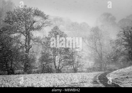 Blizzard vicino a Milldale, Colomba Valley, il Parco Nazionale di Peak District, Derbyshire Foto Stock