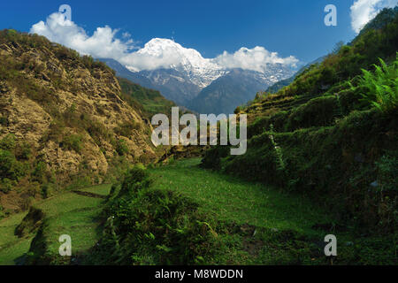 Annapurna sud si vede dal trekking tra Landruk e Ghandruk, Modi Khola valley, Nepal. Foto Stock