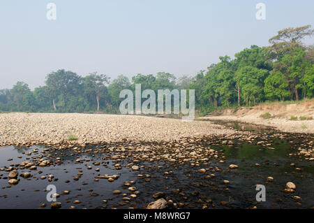 Nella ricerca della tigre nel Bardia national park in Nepal Foto Stock