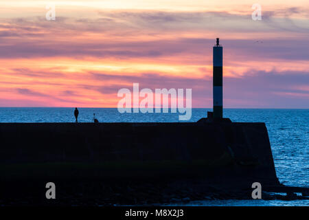 A profilarsi l uomo nella distanza in piedi sul mare di calcestruzzo frantumatore come il sole scende e il cielo diventa colorato lungo la costa del Galles. © Ian Jones/Alamy Live News. Foto Stock