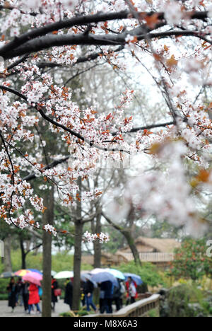 Suzhou, cinese della provincia di Jiangsu. Xxi Mar, 2018. I turisti osservare fiori all'amministratore umile Giardino di Suzhou City, est cinese della provincia di Jiangsu, Marzo 21, 2018. Credito: Appendere Xingwei/Xinhua/Alamy Live News Foto Stock