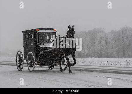 Amish su una coperta di neve strada con un cavallo e buggy in Ontario rurale Foto Stock