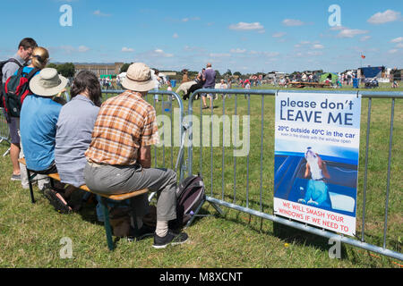 Persone che guardano i bambini incontro lama e alpaca in un anello di parata al Gloucestershire Vintage Paese mostrano a Cirencester 2016 Foto Stock