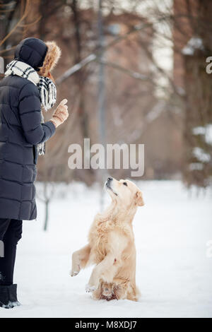 Foto di giovane donna in giacca nera del cane di formazione nel parco innevato Foto Stock