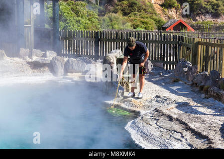 Nuova Zelanda Rotorua Nuova Zelanda rotorua in cottura i sanguinosi increspature o Parekohuru piscina termale whakarewarewa rotorua Isola del nord della Nuova Zelanda Foto Stock