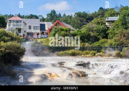 Nuova Zelanda Rotorua Nuova Zelanda whakarewarewa rotorua terrazze con deposito di minerali run off dal pool parekohuru Isola del nord della Nuova Zelanda Oceania Foto Stock