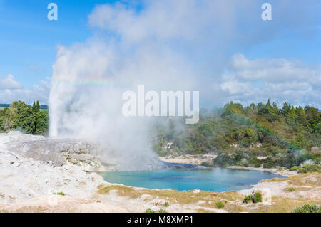 Nuova Zelanda Rotorua Nuova Zelanda whakarewarewa rotorua Pohutu geyser e il Principe di Galles geyser lago blu nuova zelanda Isola del nord della Nuova Zelanda Oceania Foto Stock