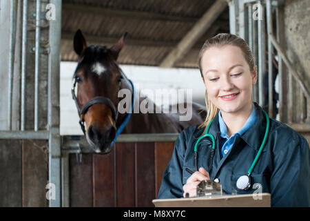 Femmina esaminando Vet Horse In stabile Foto Stock