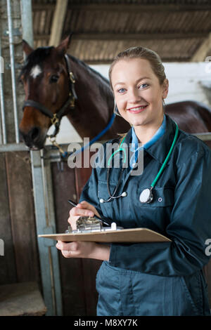 Ritratto di femmina esaminando Vet Horse In stabile Foto Stock