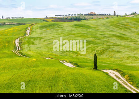 La laminazione del paesaggio agricolo con una strada sterrata attraverso i campi Foto Stock