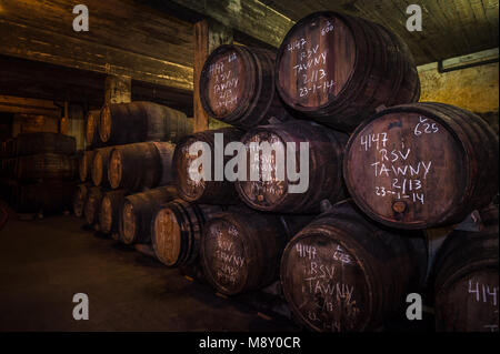 Porta botti di vino nella cantina, Vila Nova de Gaia, Porto, Portogallo Foto Stock