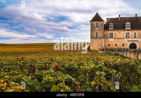 Chateau con vigneti nella stagione autunnale, Borgogna, Francia Foto Stock