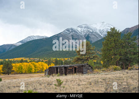 Montare Princeton, vicino a Buena Vista, Colorado, è coperto in tutto lo splendore dei colori autunnali con oro e arancio foglie aspen miscelato in una foresta di pini lungo Foto Stock