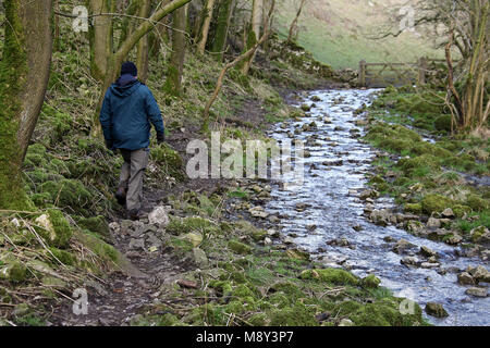 Walker a Biggin Dale vicino a Hartington nel Parco Nazionale di Peak District Foto Stock