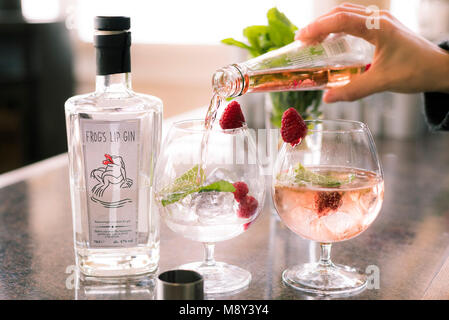 Gin Tonic bevande preparate. Foto Stock