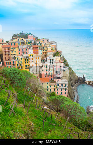 Il piccolo e tradizionale villaggio italiano di Manarola con case colorate e vigneti ora una popolare destinazione turistica in Cinque Terre Liguria, Italia Foto Stock