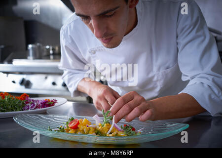 Chef ceviche guarnendo il piatto con le mani in acciaio inox cucina Foto Stock