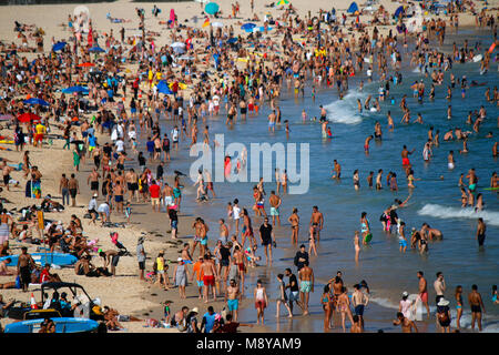 Dicembre 30, 2017: temperature oltre i 35 gradi Celsius tirare di masse di persone per la città affollate spiagge di Sydney, qui la spiaggia di Bondi, Sydney, Austral Foto Stock