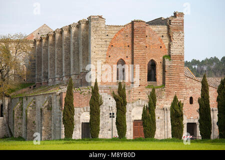 Abbazia di San Galgano, Siena, Toscana, Italia, Europa Foto Stock