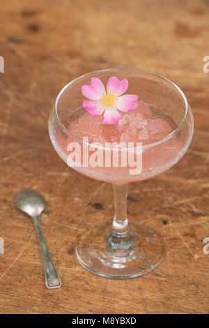 Congelati vino rosato in un dessert di vetro con un cucchiaio e organici di petali di rosa Foto Stock