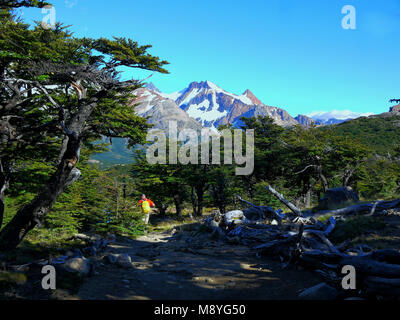 Il monte Fitz Roy e vette circostanti vicino a El Chalten Santa cruz Argentina Foto Stock