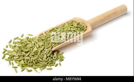 Il verde di semi di finocchio nel legno del convogliatore, isolato su sfondo bianco Foto Stock