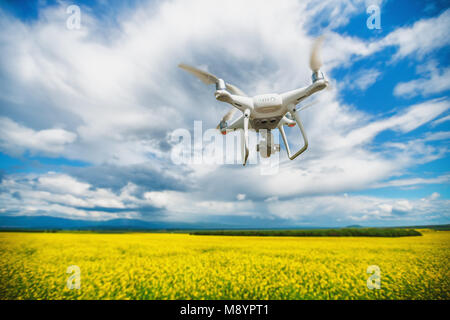 Flying drone oltre la colza. Foto Stock