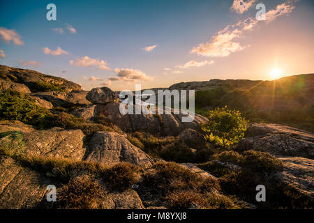 Escursionista alla scoperta dell'isola svedese, Tjorn, Svezia 2016 Foto Stock
