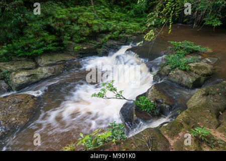 Una piccola cascata, Maliau Basin, Sabah, Malesia, Borneo Foto Stock