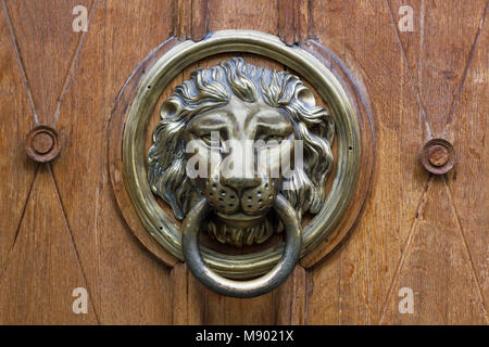 Porta vecchia respingente con leone di bronzo testa sulla porta di legno Foto Stock