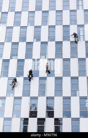 Gruppo di lavoratori, appeso alla fune clambing, pulire le finestre ond guscio esterno dell'edificio alto. Foto Stock