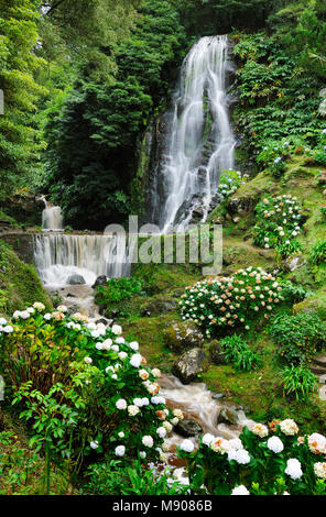 Ribeira dos Caldeirões Natura Park presso Achada, Nordeste. São Miguel, isole Azzorre, Portogallo Foto Stock