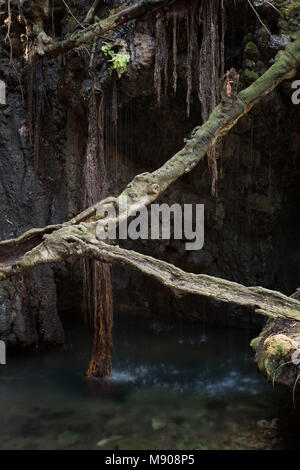 Aphroditie ai bagni sulla penisola di Akamas, Paphos, Cipro Foto Stock