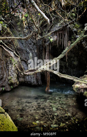 Aphroditie ai bagni sulla penisola di Akamas, Paphos, Cipro Foto Stock