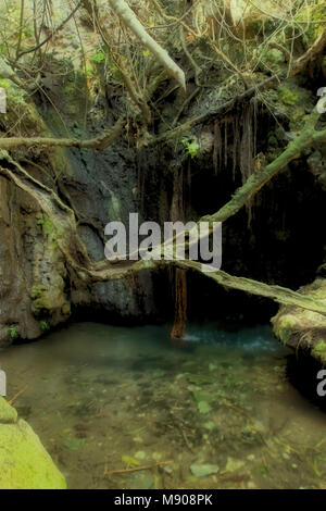 Aphroditie ai bagni sulla penisola di Akamas, Paphos, Cipro Foto Stock